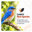 Smart Solar Bird Feeder in Wood with HD Camera